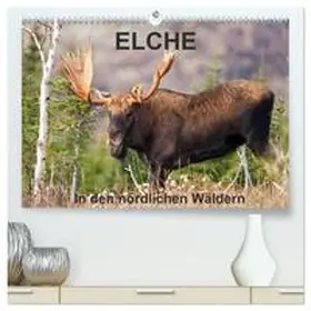 Henry / CALVENDO |  ELCHE In den nördlichen Wäldern (hochwertiger Premium Wandkalender 2026 DIN A2 quer), Kunstdruck in Hochglanz | Sonstiges |  Sack Fachmedien