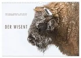Gerlach / CALVENDO |  Emotionale Momente: Der Wisent. (Wandkalender 2026 DIN A3 quer), CALVENDO Monatskalender | Sonstiges |  Sack Fachmedien