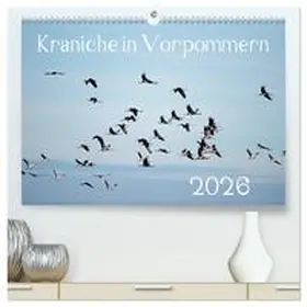 Reinhold / CALVENDO |  Kraniche in Vorpommern (hochwertiger Premium Wandkalender 2026 DIN A2 quer), Kunstdruck in Hochglanz | Sonstiges |  Sack Fachmedien