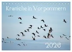 Reinhold / CALVENDO |  Kraniche in Vorpommern (Tischkalender 2026 DIN A5 quer), CALVENDO Monatskalender | Sonstiges |  Sack Fachmedien