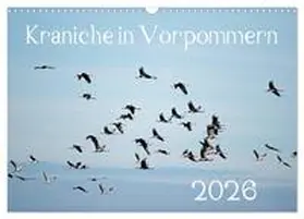 Reinhold / CALVENDO |  Kraniche in Vorpommern (Wandkalender 2026 DIN A3 quer), CALVENDO Monatskalender | Sonstiges |  Sack Fachmedien