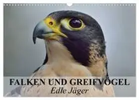 Stanzer / CALVENDO |  Falken und Greifvögel. Edle Jäger (Wandkalender 2026 DIN A3 quer), CALVENDO Monatskalender | Sonstiges |  Sack Fachmedien