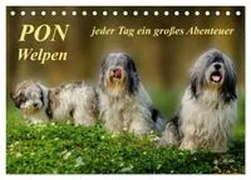 Roder / CALVENDO |  PON - Welpen, jeder Tag ein großes Abenteuer (Tischkalender 2026 DIN A5 quer), CALVENDO Monatskalender | Sonstiges |  Sack Fachmedien
