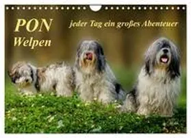 Roder / CALVENDO |  PON - Welpen, jeder Tag ein großes Abenteuer (Wandkalender 2026 DIN A4 quer), CALVENDO Monatskalender | Sonstiges |  Sack Fachmedien