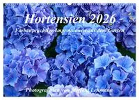 Lehmann / CALVENDO |  Hortensien 2026. Farbenprächtige Impressionen aus dem Garten (Wandkalender 2026 DIN A2 quer), CALVENDO Monatskalender | Sonstiges |  Sack Fachmedien
