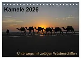 Weber / CALVENDO |  Kamele 2026 - Unterwegs mit zottigen Wüstenschiffen (Tischkalender 2026 DIN A5 quer), CALVENDO Monatskalender | Sonstiges |  Sack Fachmedien