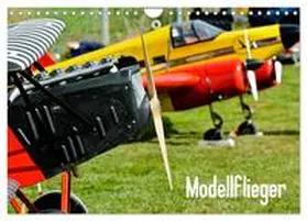 Selig / CALVENDO |  Modellflieger (Wandkalender 2026 DIN A4 quer), CALVENDO Monatskalender | Sonstiges |  Sack Fachmedien