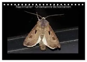 Wagner / CALVENDO |  Nachtfalter - Unbekannte Schönheiten (Tischkalender 2026 DIN A5 quer), CALVENDO Monatskalender | Sonstiges |  Sack Fachmedien
