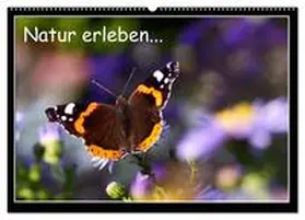 Angermayr / CALVENDO |  Natur erleben... (Wandkalender 2026 DIN A2 quer), CALVENDO Monatskalender | Sonstiges |  Sack Fachmedien