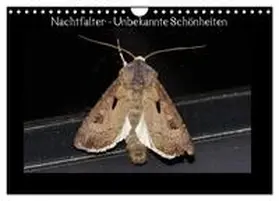 Wagner / CALVENDO |  Nachtfalter - Unbekannte Schönheiten (Wandkalender 2026 DIN A4 quer), CALVENDO Monatskalender | Sonstiges |  Sack Fachmedien