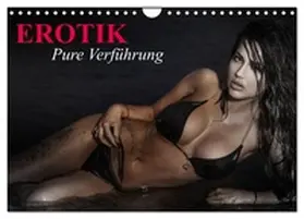 Stanzer / CALVENDO |  Erotik - Pure Verführung (Wandkalender 2026 DIN A4 quer), CALVENDO Monatskalender | Sonstiges |  Sack Fachmedien