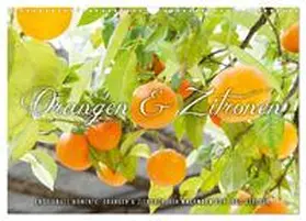 Gerlach / CALVENDO |  Emotionale Momente: Orangen & Zitronen. (Wandkalender 2026 DIN A3 quer), CALVENDO Monatskalender | Sonstiges |  Sack Fachmedien