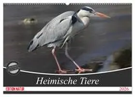 SchnelleWelten / CALVENDO |  Heimische Tiere (Wandkalender 2026 DIN A2 quer), CALVENDO Monatskalender | Sonstiges |  Sack Fachmedien