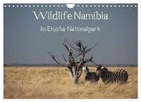 CALVENDO / Müller |  Wildlife Namibia (Wandkalender 2026 DIN A4 quer), CALVENDO Monatskalender | Sonstiges |  Sack Fachmedien