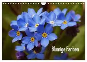 Möller / CALVENDO |  Blumige Farben (Wandkalender 2026 DIN A4 quer), CALVENDO Monatskalender | Sonstiges |  Sack Fachmedien