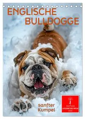 Roder / CALVENDO |  Englische Bulldogge - sanfter Kumpel (Tischkalender 2026 DIN A5 hoch), CALVENDO Monatskalender | Sonstiges |  Sack Fachmedien
