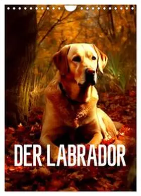 Alberts / CALVENDO |  Der Labrador (Wandkalender 2026 DIN A4 hoch), CALVENDO Monatskalender | Sonstiges |  Sack Fachmedien
