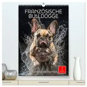 Roder / CALVENDO |  Französische Bulldogge - ein Hund für die Familie (hochwertiger Premium Wandkalender 2026 DIN A2 hoch), Kunstdruck in Hochglanz | Sonstiges |  Sack Fachmedien