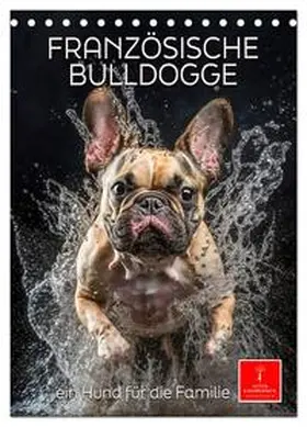 Roder / CALVENDO |  Französische Bulldogge - ein Hund für die Familie (Tischkalender 2026 DIN A5 hoch), CALVENDO Monatskalender | Sonstiges |  Sack Fachmedien