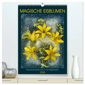 Richter / CALVENDO |  Magische Eisblumen (hochwertiger Premium Wandkalender 2026 DIN A2 hoch), Kunstdruck in Hochglanz | Sonstiges |  Sack Fachmedien
