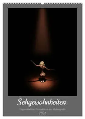 Lichtgestalt / CALVENDO |  Sehgewohnheiten (Wandkalender 2026 DIN A2 hoch), CALVENDO Monatskalender | Sonstiges |  Sack Fachmedien