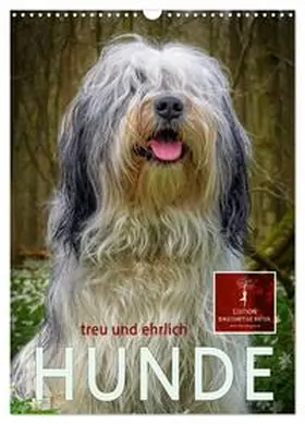 Roder / CALVENDO |  Hunde - treu und ehrlich (Wandkalender 2026 DIN A3 hoch), CALVENDO Monatskalender | Sonstiges |  Sack Fachmedien