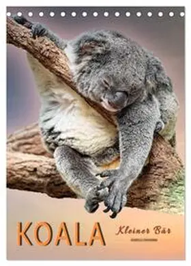 Roder / CALVENDO |  Koala, kleiner Bär (Tischkalender 2026 DIN A5 hoch), CALVENDO Monatskalender | Sonstiges |  Sack Fachmedien