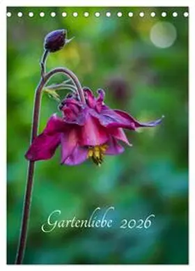 CALVENDO / Gartenchaosliebe |  Gartenliebe (Tischkalender 2026 DIN A5 hoch), CALVENDO Monatskalender | Sonstiges |  Sack Fachmedien