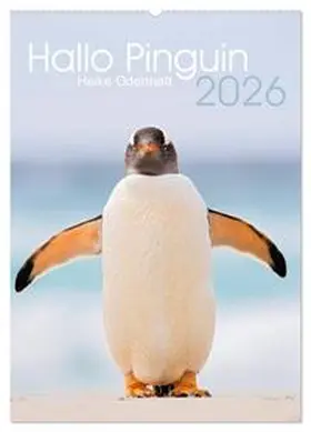 Odermatt / CALVENDO |  Hallo Pinguin (Wandkalender 2026 DIN A2 hoch), CALVENDO Monatskalender | Sonstiges |  Sack Fachmedien