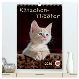 Roder / CALVENDO |  Kätzchen - Theater (hochwertiger Premium Wandkalender 2026 DIN A2 hoch), Kunstdruck in Hochglanz | Sonstiges |  Sack Fachmedien
