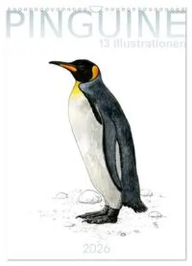 Spangenberg / CALVENDO |  Pinguine - 13 Illustrationen (Wandkalender 2026 DIN A3 hoch), CALVENDO Monatskalender | Sonstiges |  Sack Fachmedien