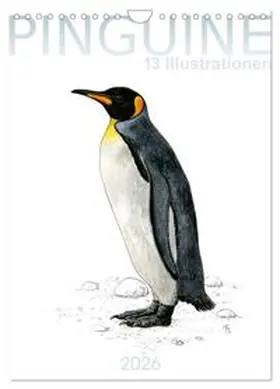 Spangenberg / CALVENDO |  Pinguine - 13 Illustrationen (Wandkalender 2026 DIN A4 hoch), CALVENDO Monatskalender | Sonstiges |  Sack Fachmedien