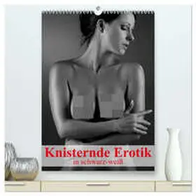 Stanzer / CALVENDO |  Knisternde Erotik in schwarz-weiß (hochwertiger Premium Wandkalender 2026 DIN A2 hoch), Kunstdruck in Hochglanz | Sonstiges |  Sack Fachmedien