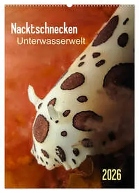 Weber-Gebert / CALVENDO |  Nacktschnecken - Unterwasserwelt 2026 (Wandkalender 2026 DIN A2 hoch), CALVENDO Monatskalender | Sonstiges |  Sack Fachmedien