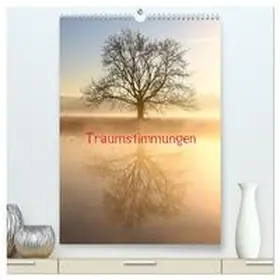 Kaiser / CALVENDO |  Traumstimmungen (hochwertiger Premium Wandkalender 2026 DIN A2 hoch), Kunstdruck in Hochglanz | Sonstiges |  Sack Fachmedien