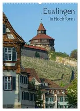 CALVENDO / Weber |  Esslingen in Hochform (Wandkalender 2026 DIN A2 hoch), CALVENDO Monatskalender | Sonstiges |  Sack Fachmedien