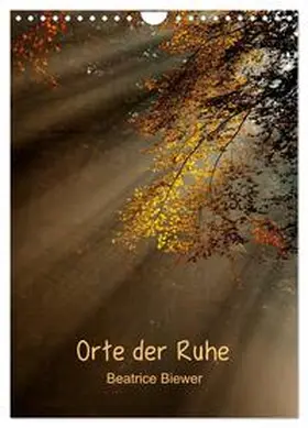 Biewer / CALVENDO |  Orte der Ruhe (Wandkalender 2026 DIN A4 hoch), CALVENDO Monatskalender | Sonstiges |  Sack Fachmedien