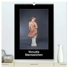 Faltin / CALVENDO |  Venudia Sternzeichen - Aktfotografie (hochwertiger Premium Wandkalender 2026 DIN A2 hoch), Kunstdruck in Hochglanz | Sonstiges |  Sack Fachmedien