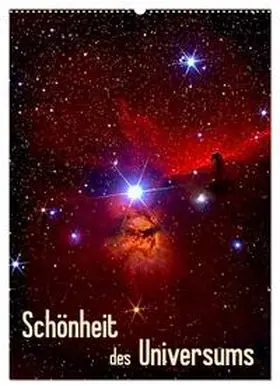 MonarchC / CALVENDO |  Schönheit des Universums (Wandkalender 2026 DIN A2 hoch), CALVENDO Monatskalender | Sonstiges |  Sack Fachmedien