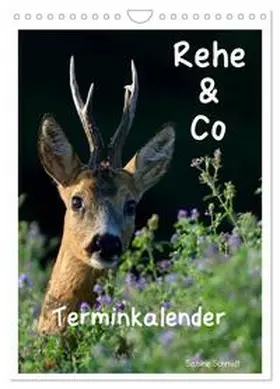 CALVENDO / Schmidt |  Rehe & Co / Planer (Wandkalender 2026 DIN A4 hoch), CALVENDO Monatskalender | Sonstiges |  Sack Fachmedien