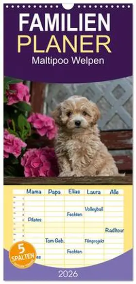 CALVENDO / Schultz |  Familienplaner 2026 - Maltipoo Welpen mit 5 Spalten (Wandkalender, 21 x 45 cm) CALVENDO | Sonstiges |  Sack Fachmedien