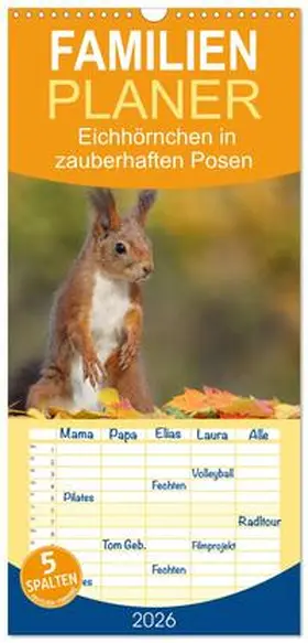 Meier / CALVENDO |  Familienplaner 2026 - Eichhörnchen in zauberhaften Posen mit 5 Spalten (Wandkalender, 21 x 45 cm) CALVENDO | Sonstiges |  Sack Fachmedien
