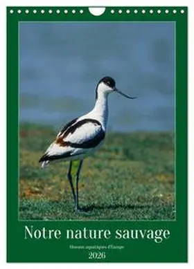 Alain Gaymard / CALVENDO |  Notre nature sauvage, oiseaux aquatiques d'Europe (Calendrier mural 2026 DIN A4 horizontal), CALVENDO calendrier mensuel | Sonstiges |  Sack Fachmedien