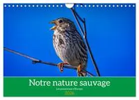 Gaymard / CALVENDO |  Notre nature sauvage, les passereaux d'Europe (Calendrier mural 2026 DIN A4 vertical), CALVENDO calendrier mensuel | Sonstiges |  Sack Fachmedien