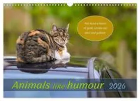 Plett / CALVENDO |  Animals like humour (Wall Calendar 2026 DIN A3 landscape), CALVENDO 12 Month Wall Calendar | Sonstiges |  Sack Fachmedien