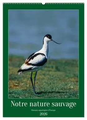 Alain Gaymard / CALVENDO |  Notre nature sauvage, oiseaux aquatiques d'Europe (Calendrier mural 2026 DIN A2 horizontal), CALVENDO calendrier mensuel | Sonstiges |  Sack Fachmedien