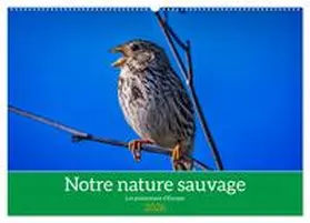 Gaymard / CALVENDO |  Notre nature sauvage, les passereaux d'Europe (Calendrier mural 2026 DIN A2 vertical), CALVENDO calendrier mensuel | Sonstiges |  Sack Fachmedien