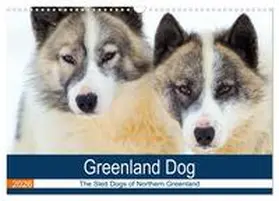 Zwick / CALVENDO |  Greenland Dog - The Sled Dogs of Northern Greenland (Wall Calendar 2026 DIN A3 landscape), CALVENDO 12 Month Wall Calendar | Sonstiges |  Sack Fachmedien