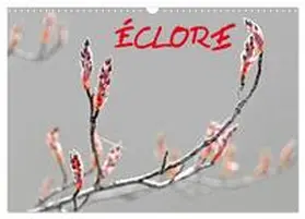 Thébault / CALVENDO |  ÉCLORE (Calendrier mural 2026 DIN A3 vertical), CALVENDO calendrier mensuel | Sonstiges |  Sack Fachmedien