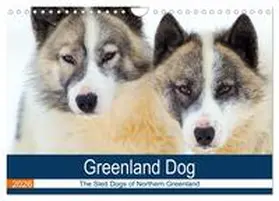 Zwick / CALVENDO |  Greenland Dog - The Sled Dogs of Northern Greenland (Wall Calendar 2026 DIN A4 landscape), CALVENDO 12 Month Wall Calendar | Sonstiges |  Sack Fachmedien
